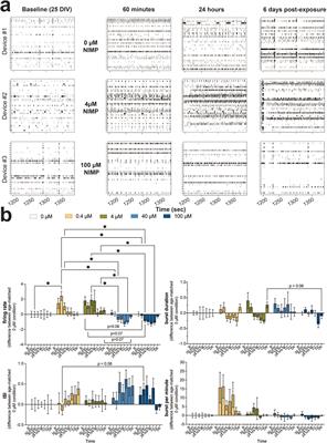 Biphasic response of human iPSC-derived neural network activity following exposure to a sarin-surrogate nerve agent